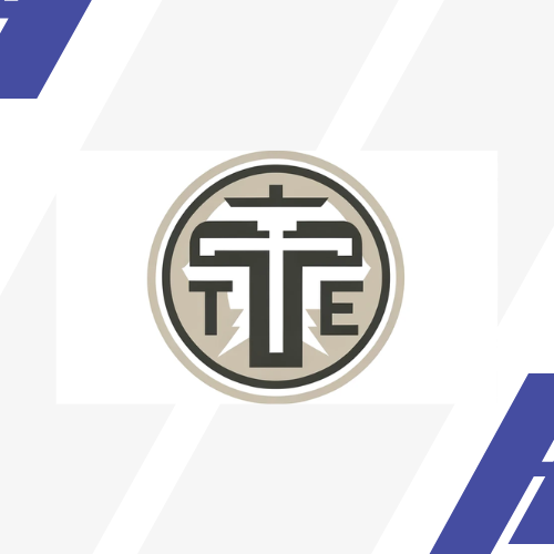 Triplex Electric Inc.