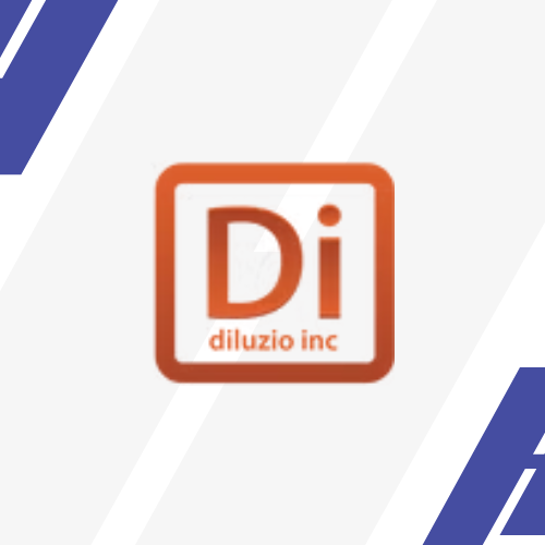 Diluzio Inc